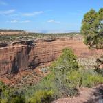 OTRA2013_2039 (July 21, 2013)